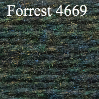 829-4669-Forest-1625571873.jpg