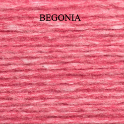 986-Coast-048-BEGONIA-1591885217.jpg